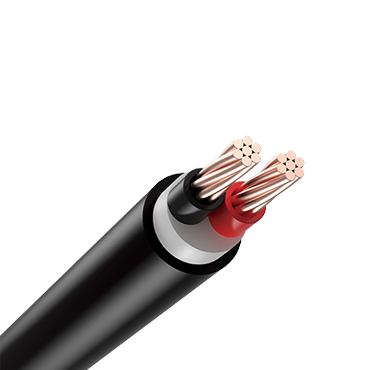 PVC insulated and sheathed two core non-armored copper cable