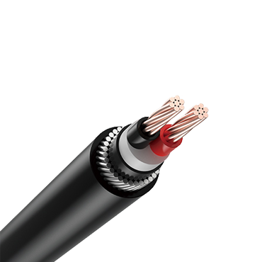 PVC Insulation and sheath double core armoured copper core cable